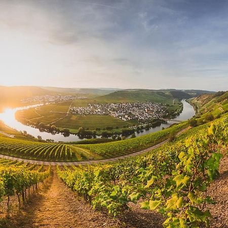 Ferienwohnung Claes Weinquartier - Weingut Claes Schmitt Erben Trittenheim Exterior foto